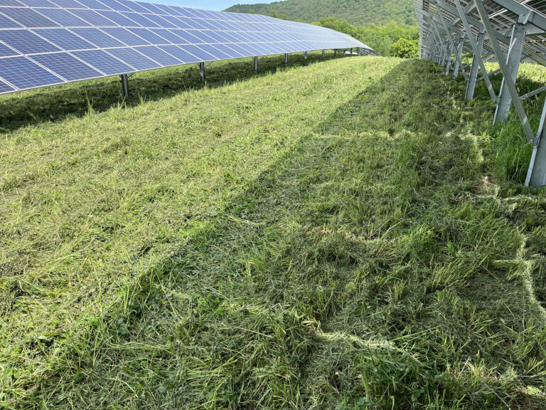 New York State Solar Field Mowing